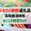 【ふるさと納税返礼品】高知県須崎市まごころ野菜セット